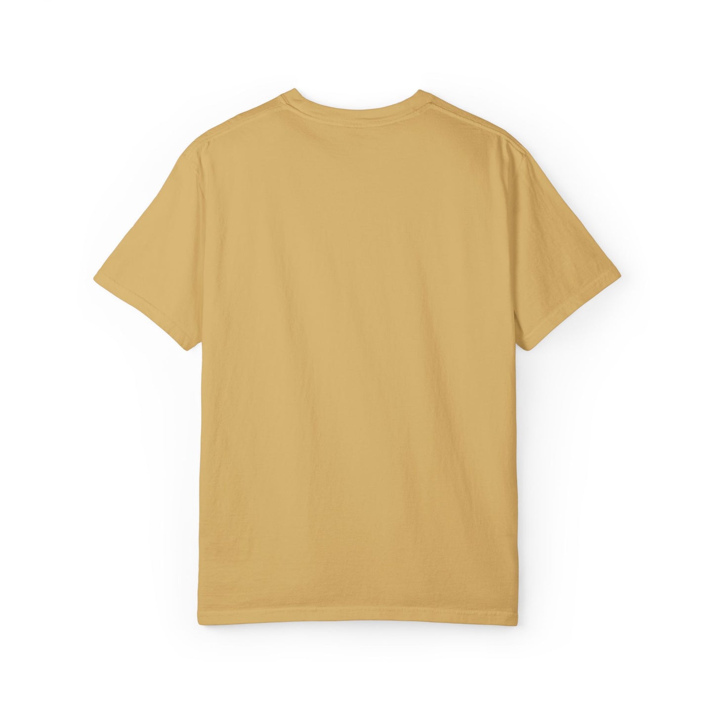 Shahnameh Legends Volleyball Graphic T-Shirt – Persian Miniature Art Tee
